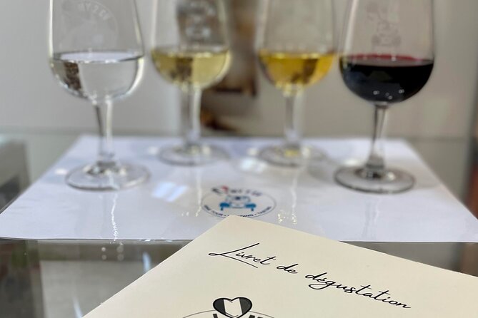 Tasting of 6 Bordeaux wines and pairing charcuterie & cheese - Learning to taste before drinking