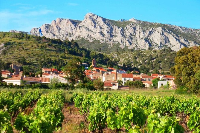 tasting workshop of 6 to 8 wines with charcuterie chocolate cheese - Key points to know before booking
