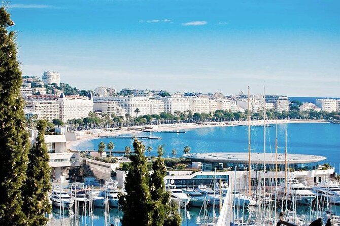 The Best of the French Riviera Small group Guided Tour from Nice - What the driving and guide style are really like