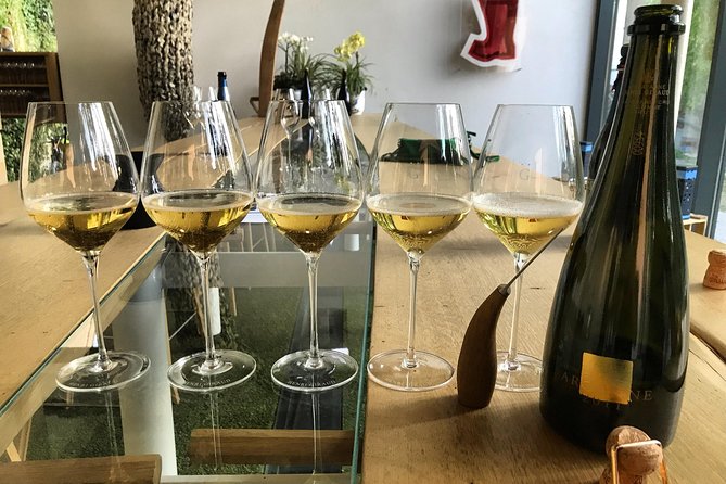The Connoisseurs from Epernay (Private Half day Champagne Tour) - Meeting the first independent producer