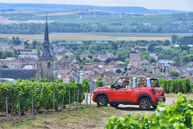 The Connoisseurs from Epernay (Private Half day Champagne Tour) - Epernay’s Avenue de Champagne