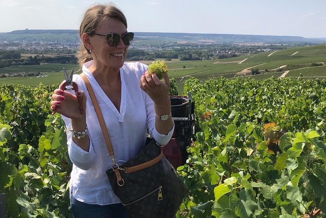 The Connoisseurs from Epernay (Private Half day Champagne Tour) - Vehicles, pickup, and timing