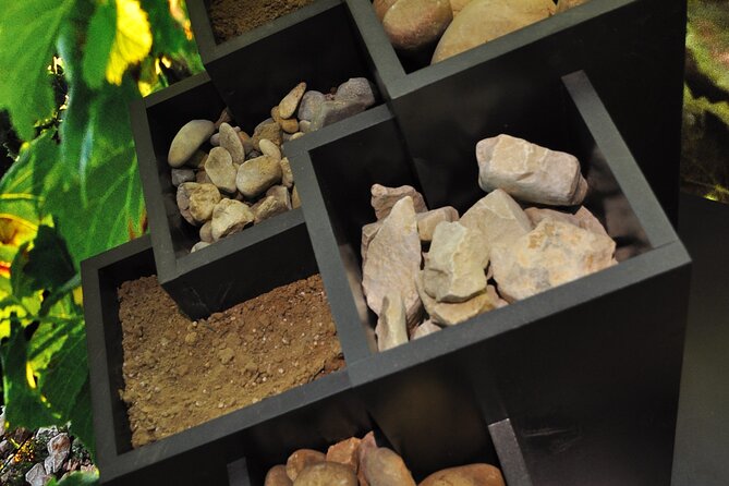 The discovery trail at Maison Brotte - A few limitations to keep in mind