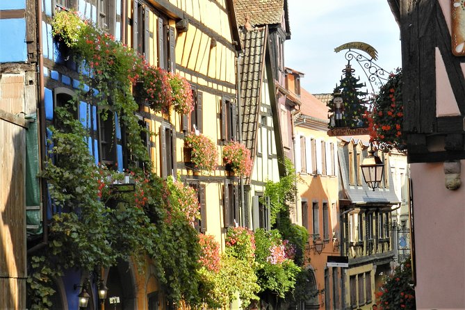 The Emblematic: visit of villages, Haut-Koenigsbourg, Wine tasting - The Alsace Wine Route and family cellar