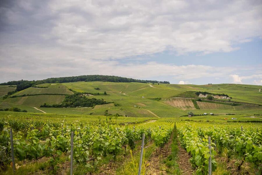 The Essential Tour from Epernay with Champagne Tasting - Price, pace, and overall value