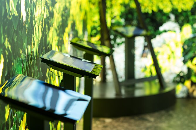 The prestige course at Maison Brotte - What happens inside the Brotte Wine Museum
