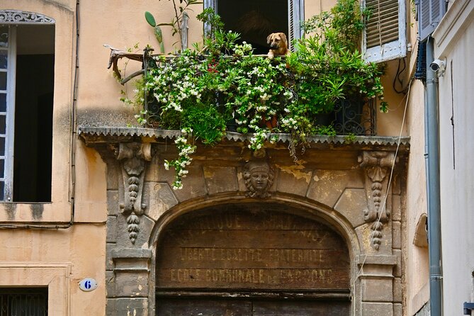 Time flies in this complete tour of Aix-en-Provence - Saint-Jean-de-Malte and the Knights Templars