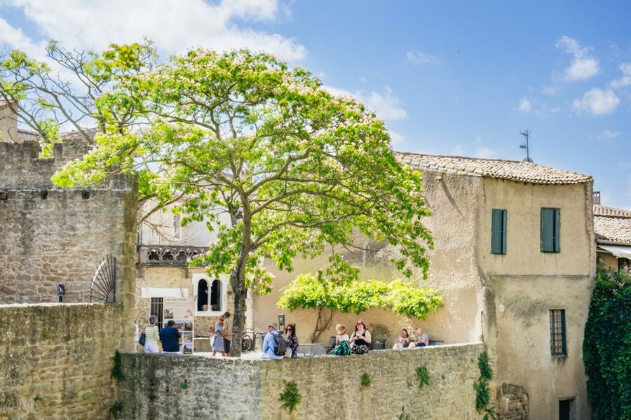 Toulouse: Carcassonne Day Trip by Coach with Audioguide - Who should book this Carcassonne day trip?