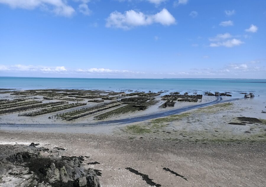 Tour from Rennes : Mont Saint-Michel & Cancale & Saint-Malo - Is Mont Saint-Michel, Cancale, and Saint-Malo worth one day?