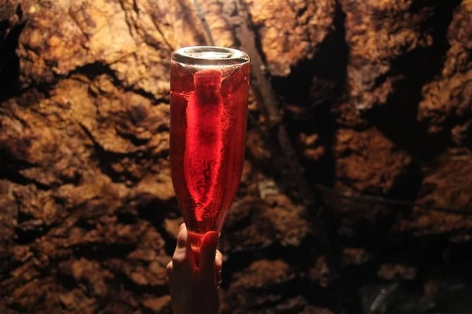 Tour of a Vineyard, Winery & Cellar with Wine Tasting in Vouvray, Loire Valley - The value of a $65.17 half-day experience