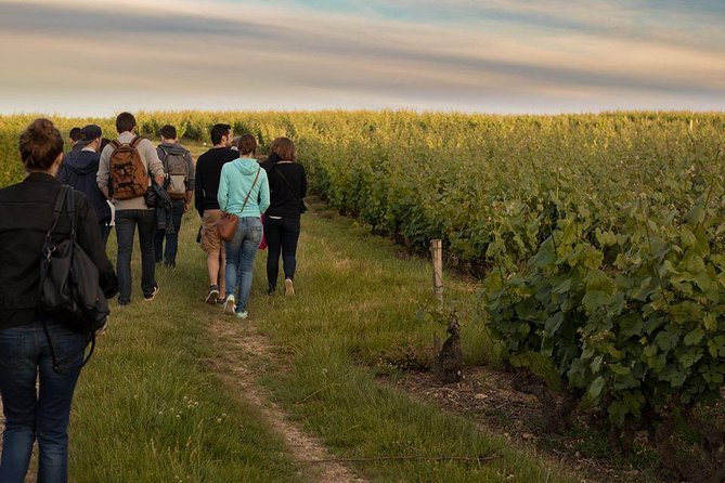 Tour of a Vineyard, Winery & Cellar with Wine Tasting in Vouvray, Loire Valley - Getting to the vineyard from Tours or Amboise