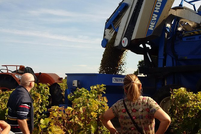 Tour of a Vineyard, Winery & Cellar with Wine Tasting in Vouvray, Loire Valley - Who will enjoy this tour most