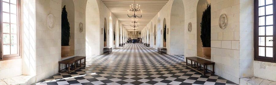 Tours/Amboise: Chambord, Chenonceau Day Trip & Wine Tasting - Chenonceau: the graceful castle over the Cher