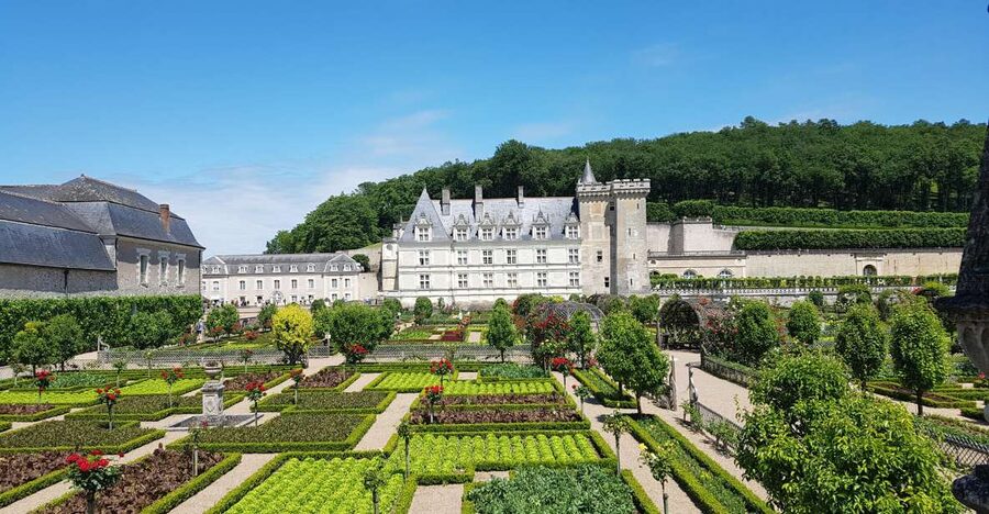 Tours: Chateaux Azay-le-Rideau and Villandry Morning Tour - Villandry’s gardens: geometry, color, and practical beauty