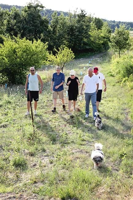 Truffle Hunting in Provence - Following the dogs beneath the oak trees