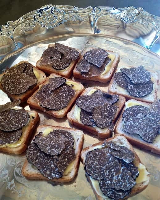 Truffle Hunting in Provence - Who will enjoy this most?