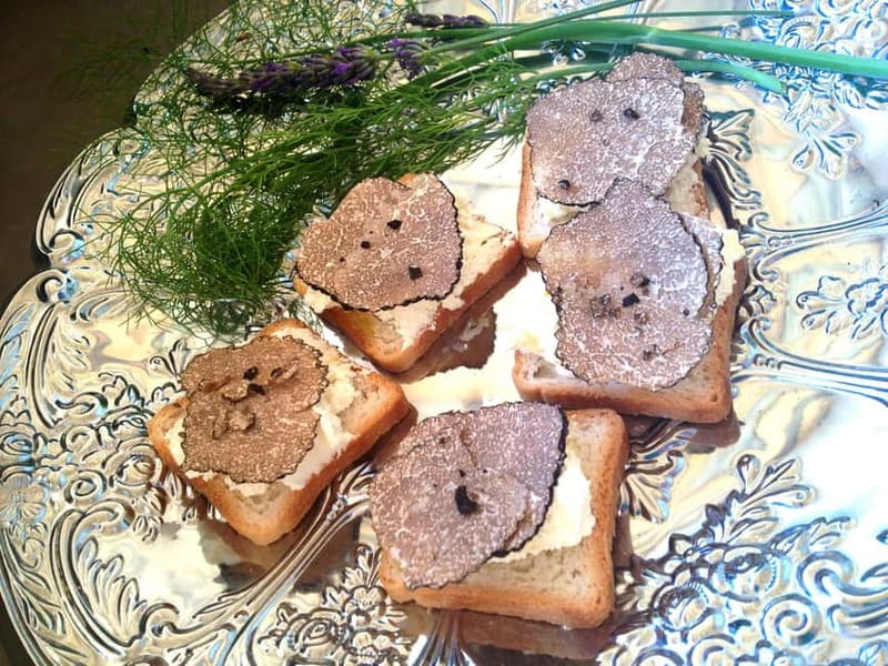 Truffle Hunting in Provence - Should you book the Les Pastras truffle hunt?