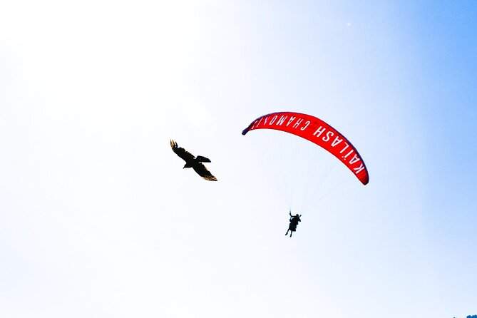 Two-seater paragliding flight in Chamonix - A Practical Plan for the Day