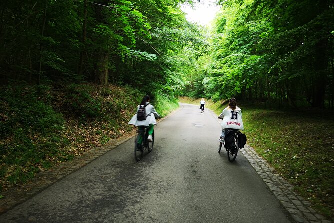Versailles Full-Day Electric Bike Tour : Market, Picnic & Palace - Why cycling to Versailles changes the day