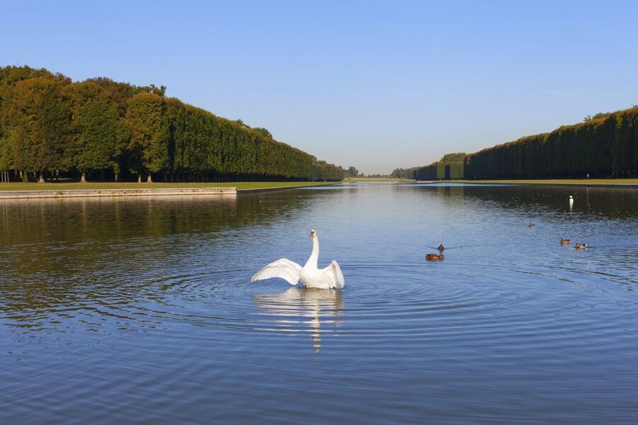 Versailles: Skip-the-Line Guided Tour of Palace with Gardens - The gardens: your hour to set the pace