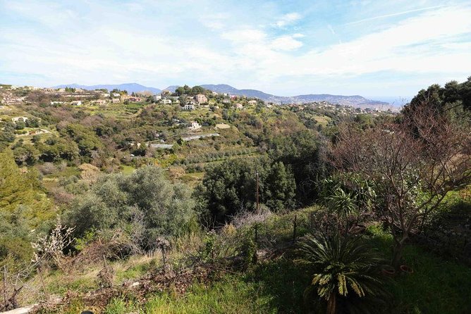 Viator Exclusive: Local Cooking Class & Dinner with View of Nice - The real value of $139.13