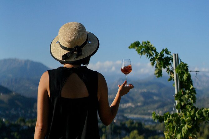 Vineyard Tour with Wine Tasting within Nice city borders - Château de Bellet, Nice’s hilltop wine escape