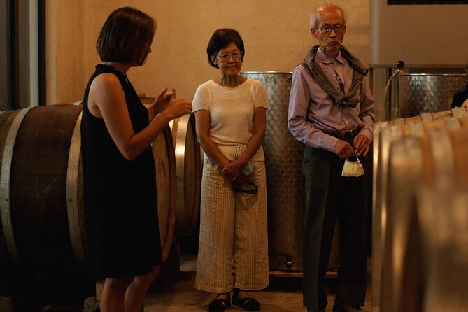 Vineyard Tour with Wine Tasting within Nice city borders - Three wines, but no built-in lunch