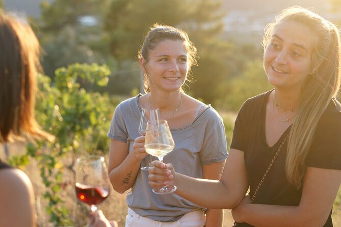 Vineyard Tour with Wine Tasting within Nice city borders - Weather, timing, and the view