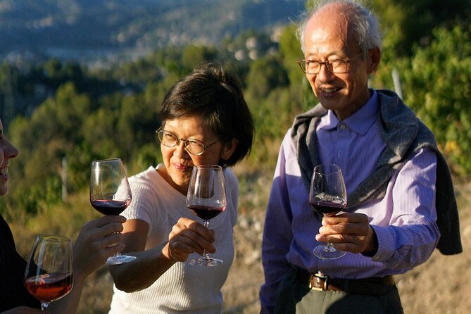 Vineyard Tour with Wine Tasting within Nice city borders - Who will enjoy this wine tour