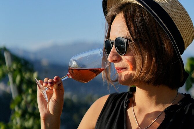 Vineyard Tour with Wine Tasting within Nice city borders - Cancellation and booking details