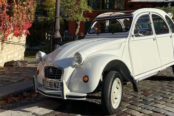 Vintage 2CV Adventure: 2-Hour Paris Highlights Tour - What your driver-guide adds