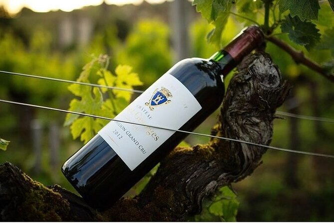 Visit and Tasting Château Saint-Georges Cote Pavie, Grand Cru Classé - Why the one-hour format works