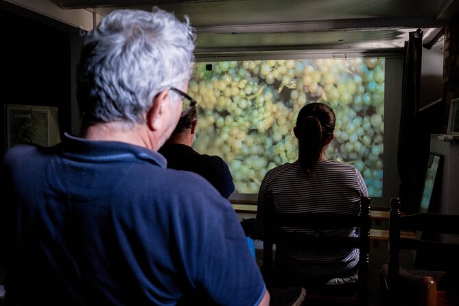 Visit of Cave Immersive - tasting - Kougelhopf to Strasbourg - Who will get the most from the visit