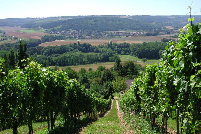 Visit-Tasting-Sale - The guides make the difference