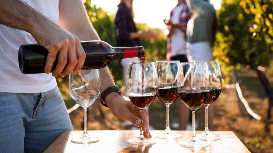 Visit the vineyards and discover Bandol wines - Inside an emblematic Bandol estate