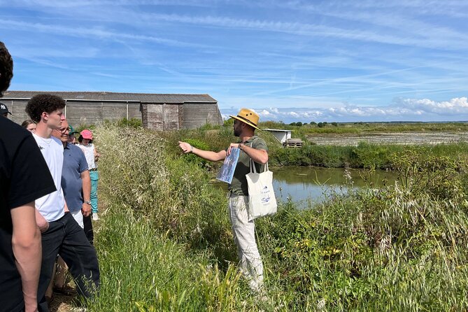 Visit to Saline - Guérande Salt Marshes - Key Points Before You Book
