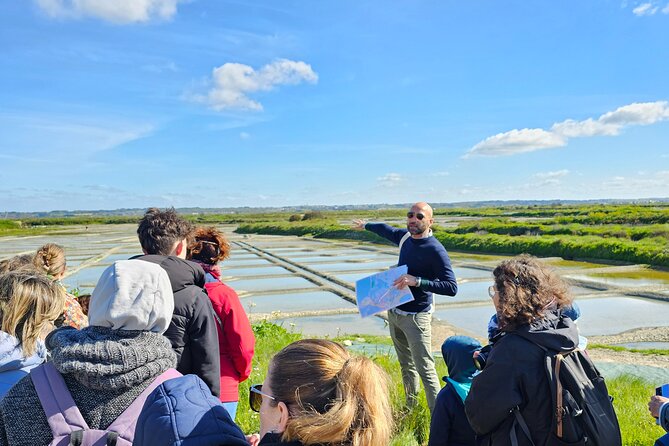 Visit to Saline - Guérande Salt Marshes - The 45-Minute Walk Through Marais Salants de Guérande