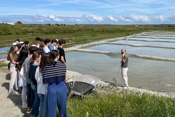 Visit to Saline - Guérande Salt Marshes - Why the $11.52 Price Works