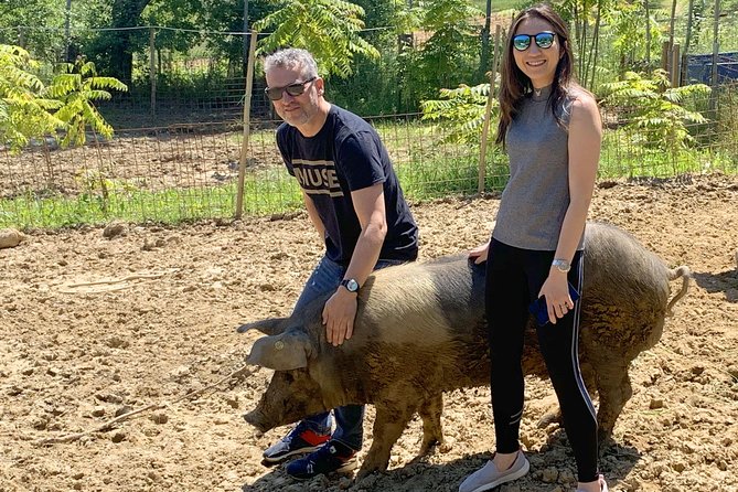 Visit to the Cinta Senese farm in Montepulciano - Inside the small cellar and curing area
