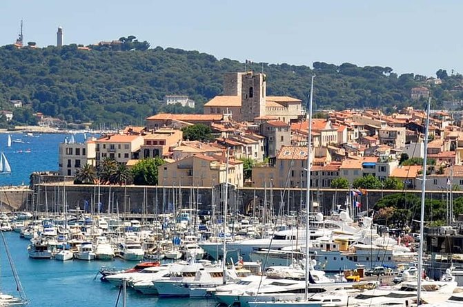 Wine Tasting, Provencal Market, Cannes and St Paul de Vence - What the guides add, and what can go wrong