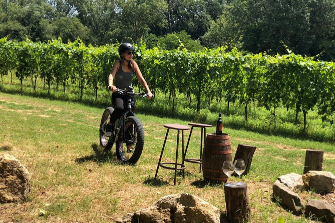 Wine Tour Ebike Experience - Lunch: a useful extra, not an automatic inclusion