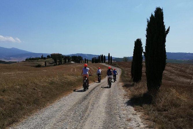Wine Tour Ebike Experience - Self-guided or guided: choose the style that fits you