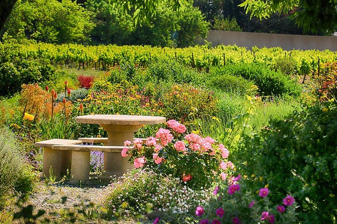 Winery Tour & Wine Tasting - Deli Plate & 3 Wines - Who will enjoy this wine visit most