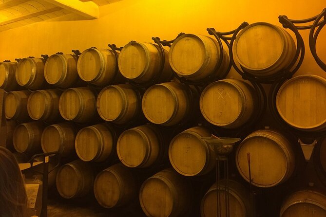 Winery Visit with Food and Wine in Carcassonne - Who will enjoy this three-hour evening